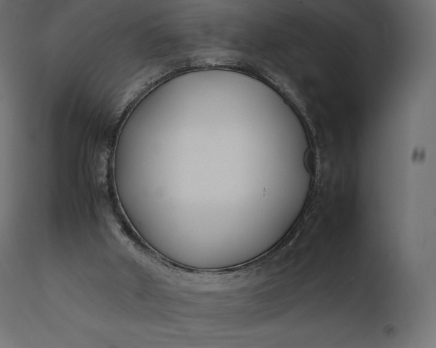 X0000111530010200907281413