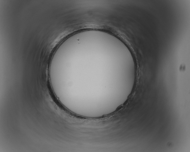 X0000111530011200907281413