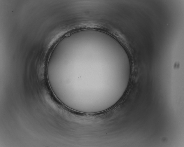 X0000111530012200907281413