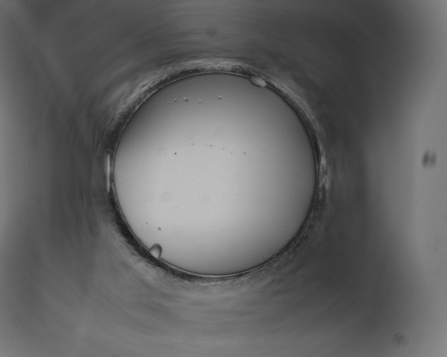 X0000111530013200907281413