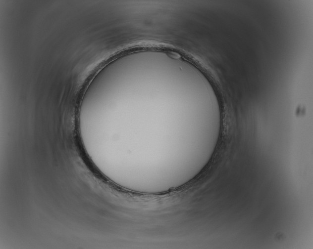 X0000111530015200907281413