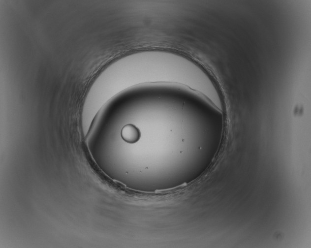 X0000111530017200907281413