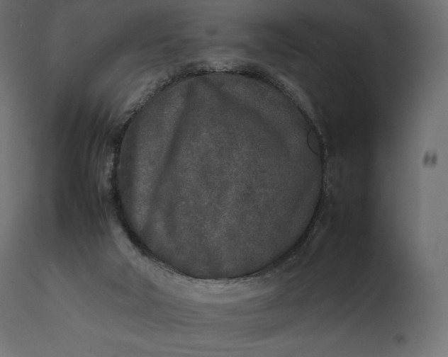 X0000111530018200907281413