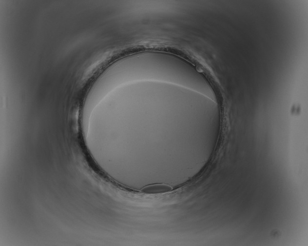 X0000111530019200907281413