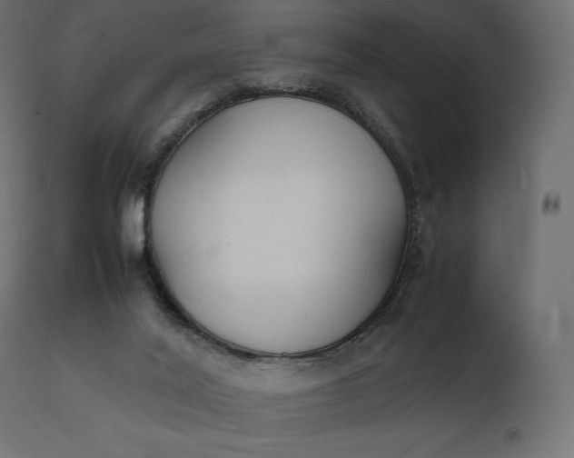 X0000111530020200907281413