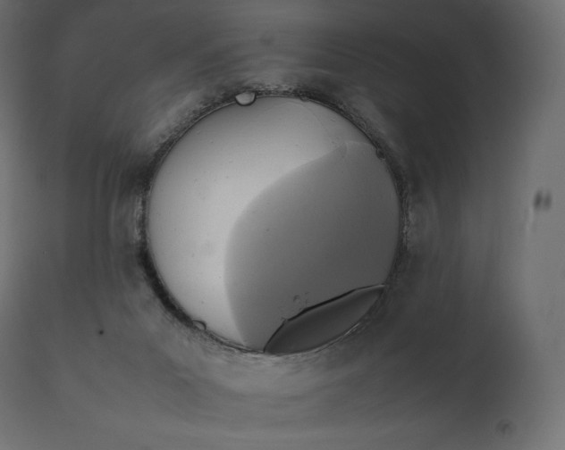 X0000111530023200907281413