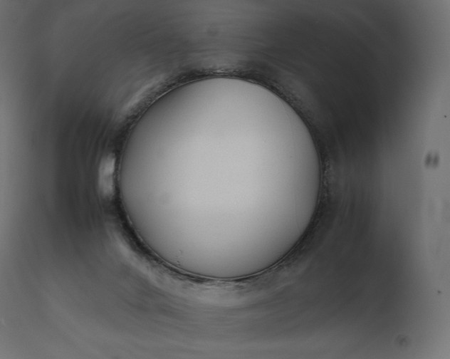 X0000111530024200907281413