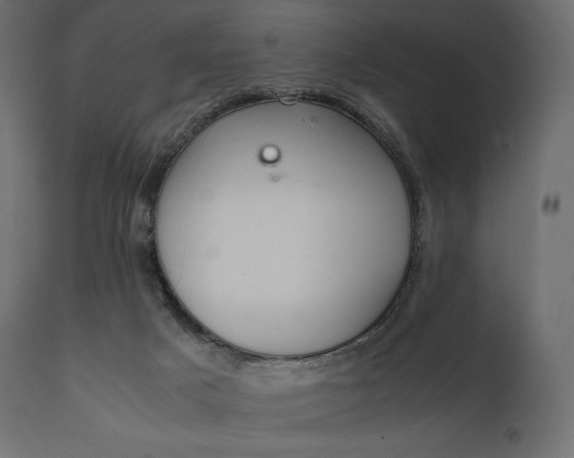 X0000111530025200907281413