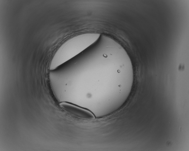 X0000111530029200907281413