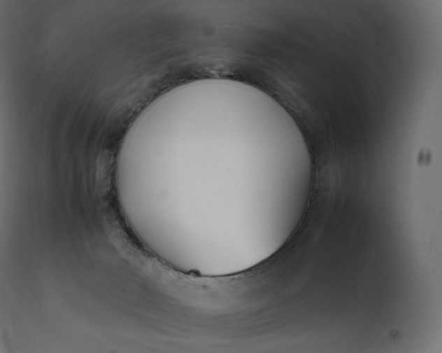 X0000111530030200907281413