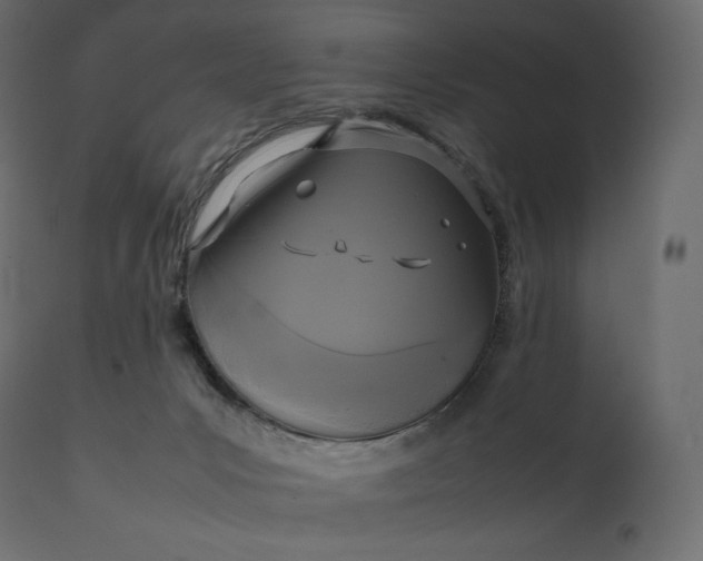 X0000111530031200907281413