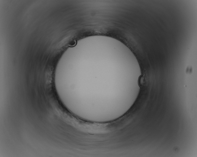 X0000111530032200907281413