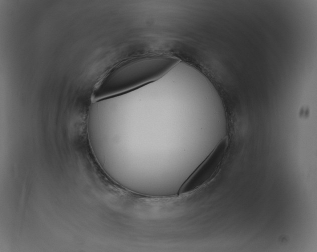 X0000111530033200907281413