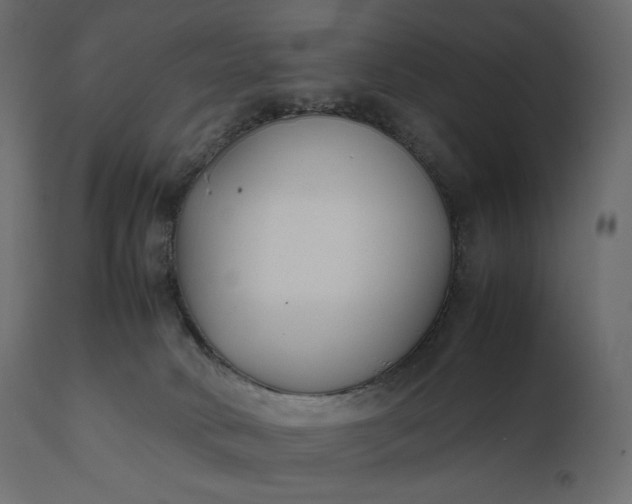 X0000111530034200907281413