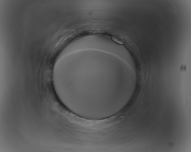 X0000111530035200907281413