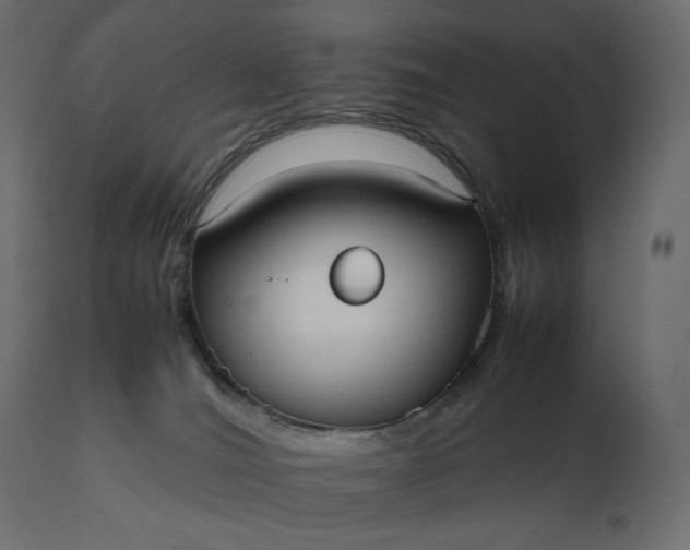 X0000111530036200907281413