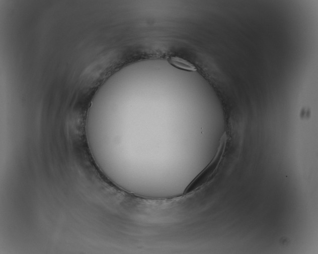 X0000111530037200907281413