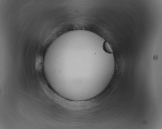 X0000111530038200907281413