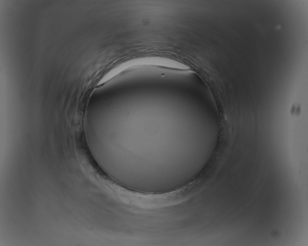 X0000111530039200907281413