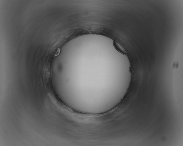 X0000111530040200907281413