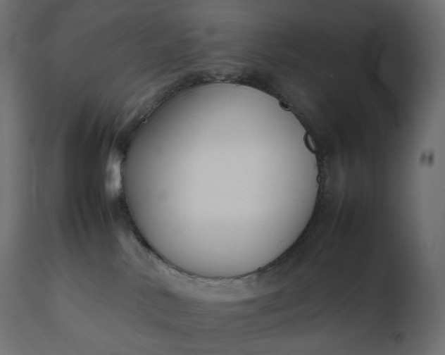 X0000111530042200907281413