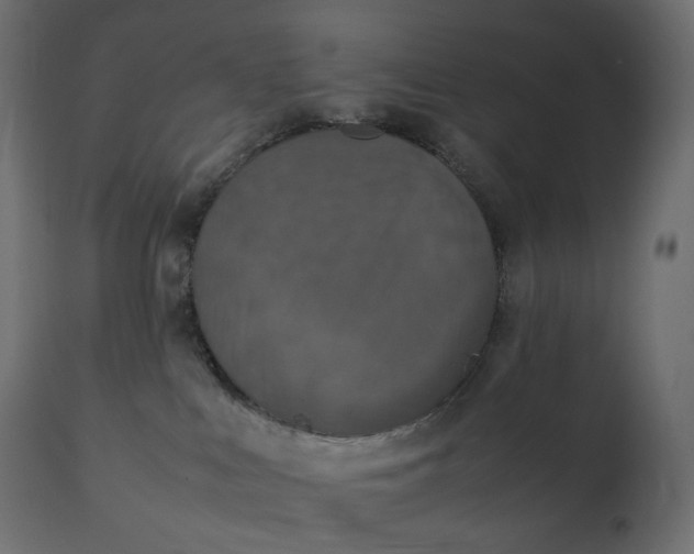 X0000111530043200907281412