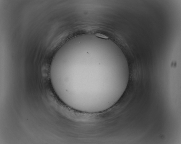 X0000111530044200907281412