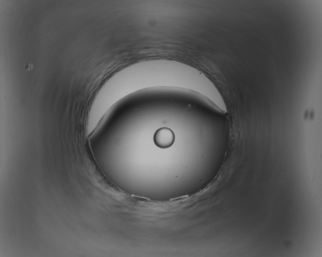 X0000111530045200907281412