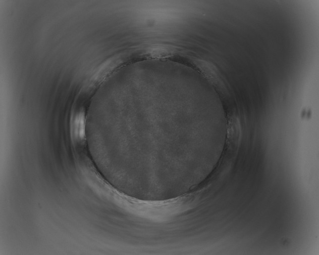 X0000111530046200907281412