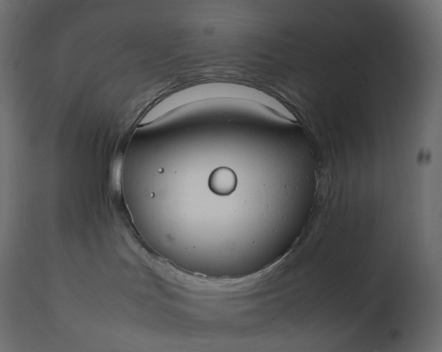 X0000111530047200907281412