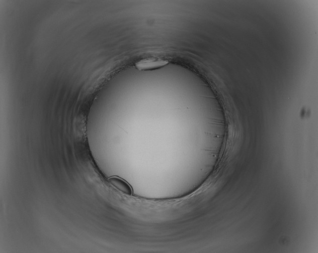 X0000111530048200907281412