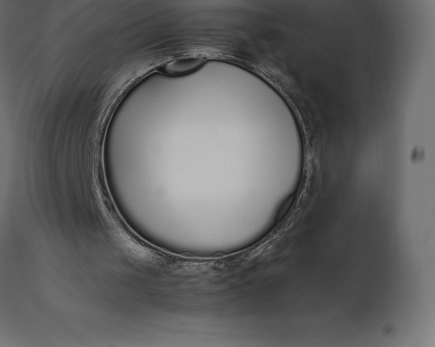 X0000111530049200907281412