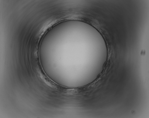 X0000111530050200907281412