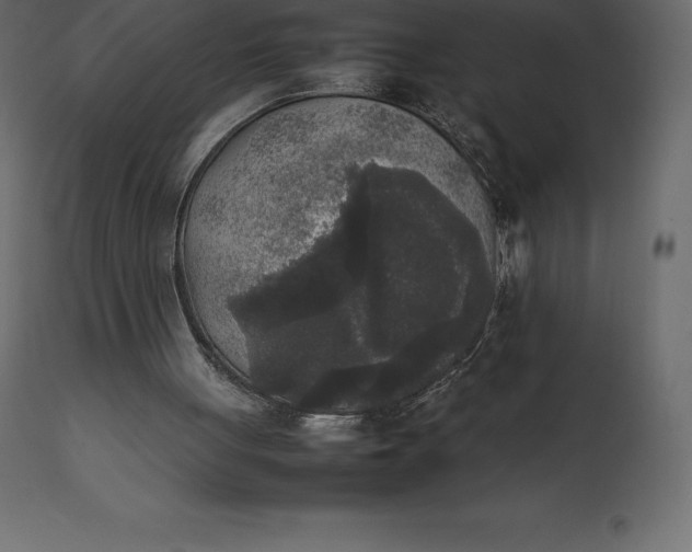 X0000111530051200907281412