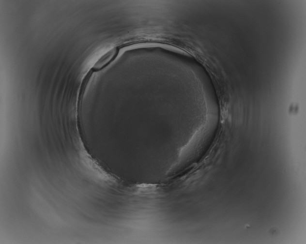 X0000111530052200907281412