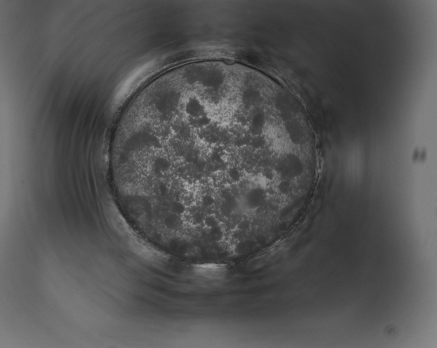 X0000111530053200907281412