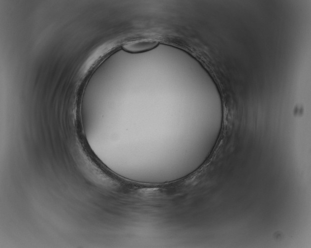 X0000111530054200907281412