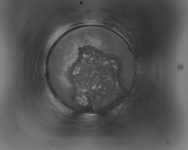 X0000111530055200907281412