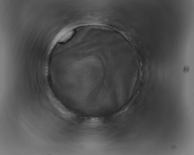 X0000111530056200907281412