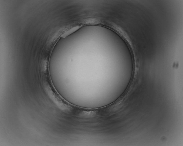 X0000111530057200907281412