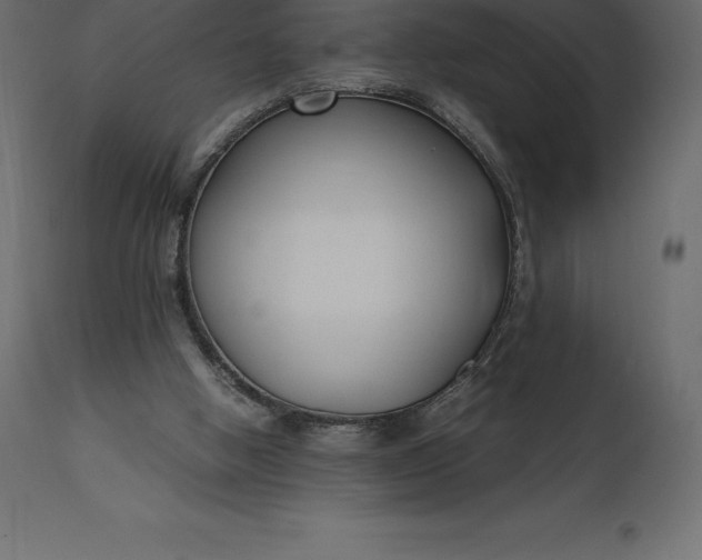 X0000111530058200907281412