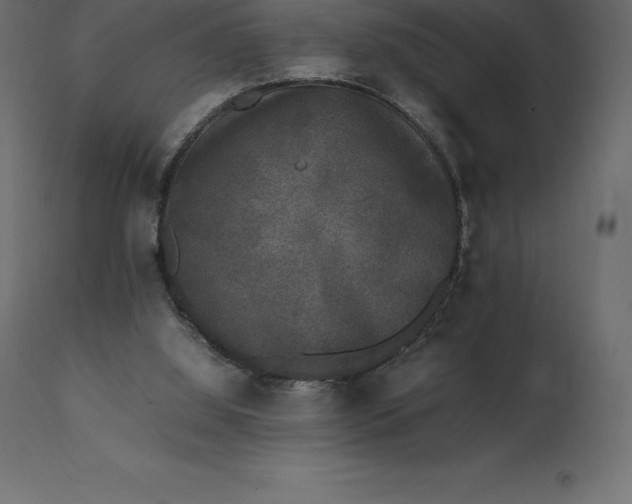 X0000111530060200907281412