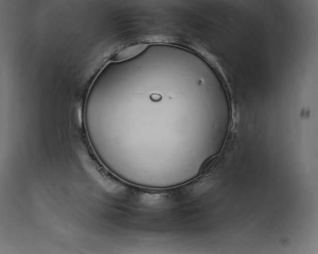 X0000111530061200907281412