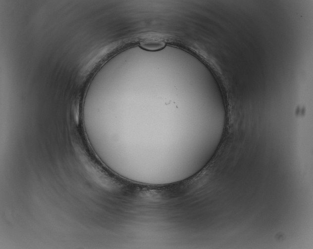 X0000111530062200907281412