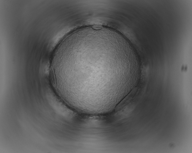 X0000111530064200907281412