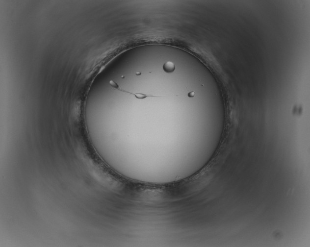 X0000111530066200907281412