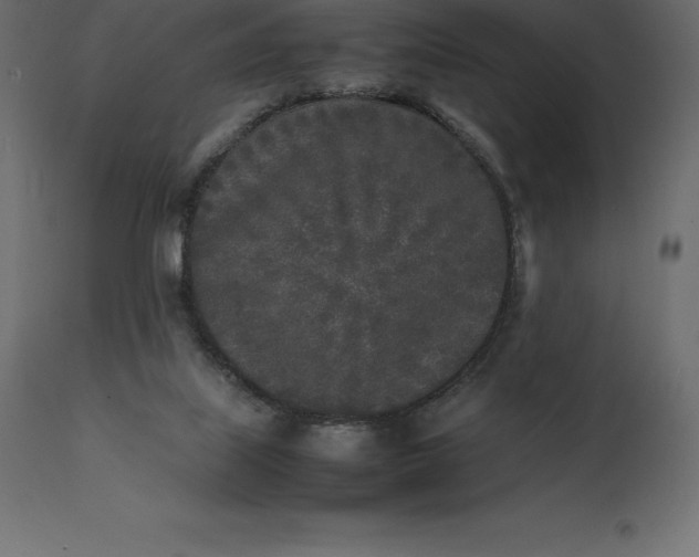 X0000111530067200907281412