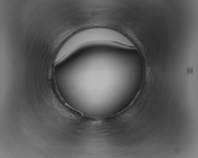 X0000111530068200907281412