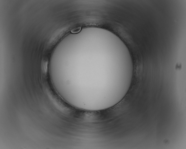 X0000111530070200907281412