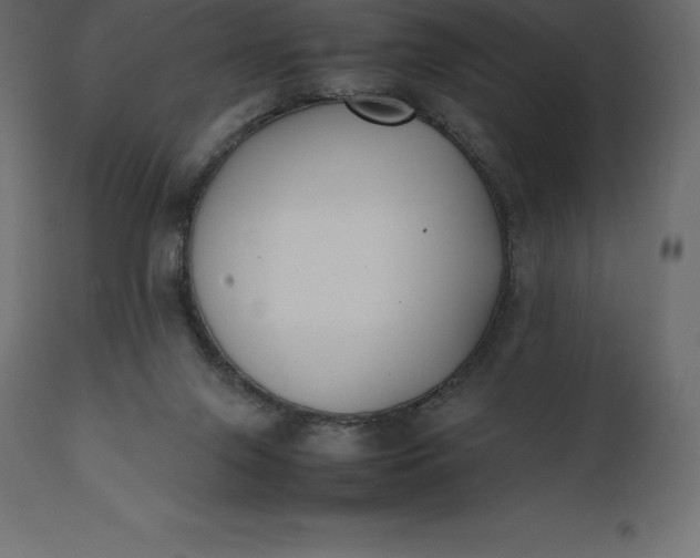 X0000111530071200907281412